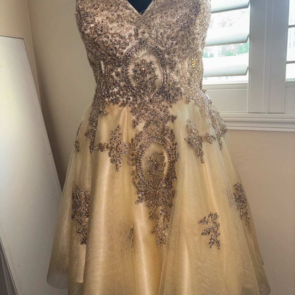 Elegant Gold Embellished Dress